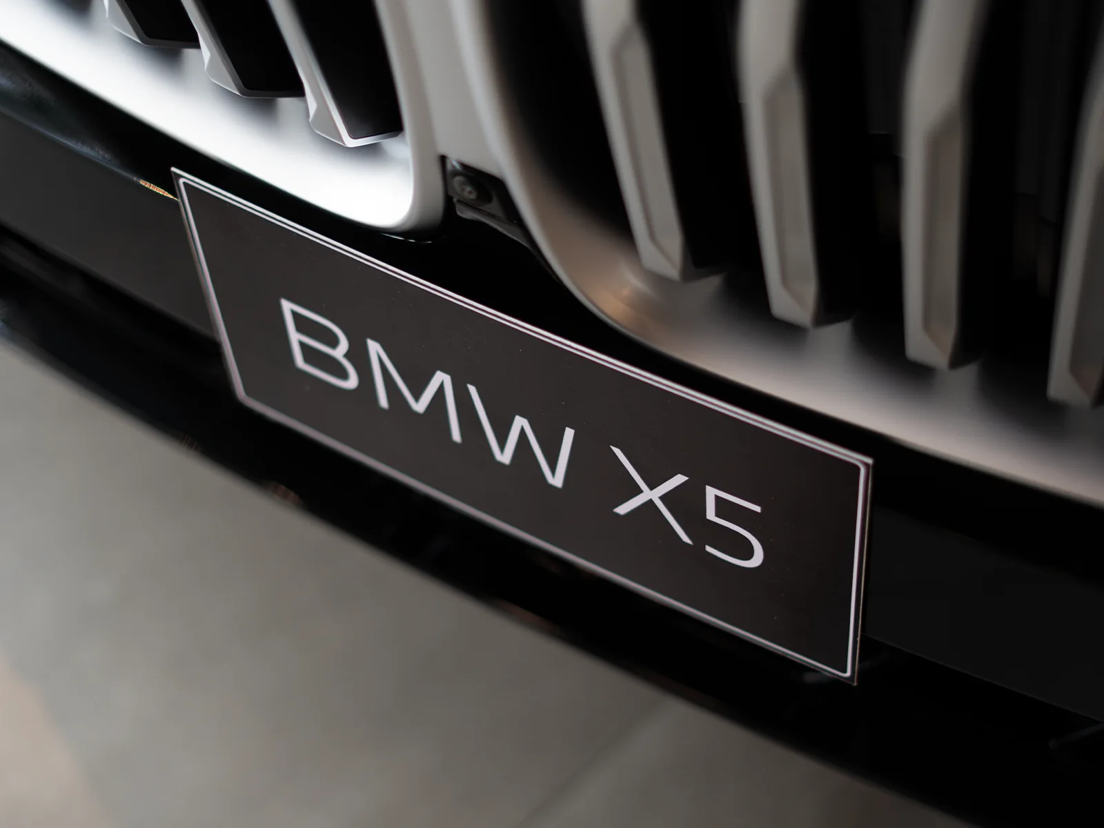 BMW X5 — Detalle parrilla / rines