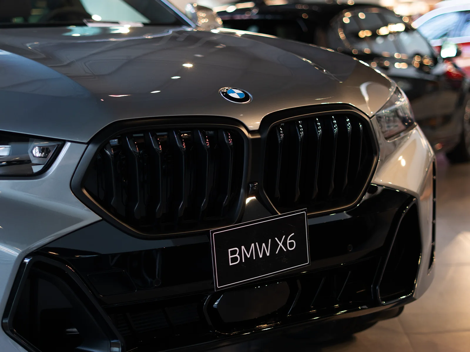 BMW X6 — Detalle parrilla / rines